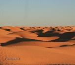 tunezja pustynia