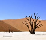 namibia pustynia