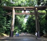 tokyo-tours-best-shrines-meiji-shrine